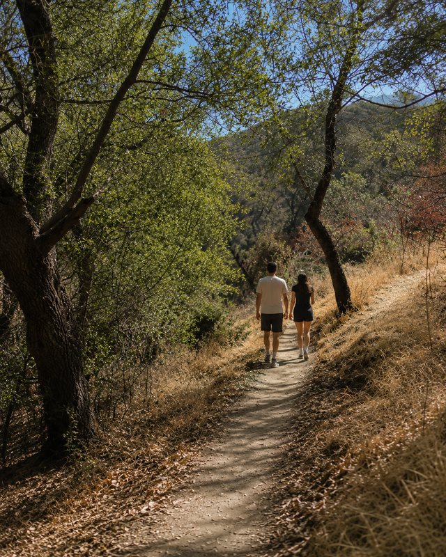 Pareja caminando por un sendero de tierra entre árboles
